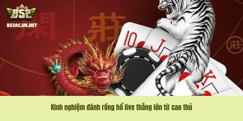 Kinh nghiệm đánh rồng hổ live thắng lớn từ cao thủ