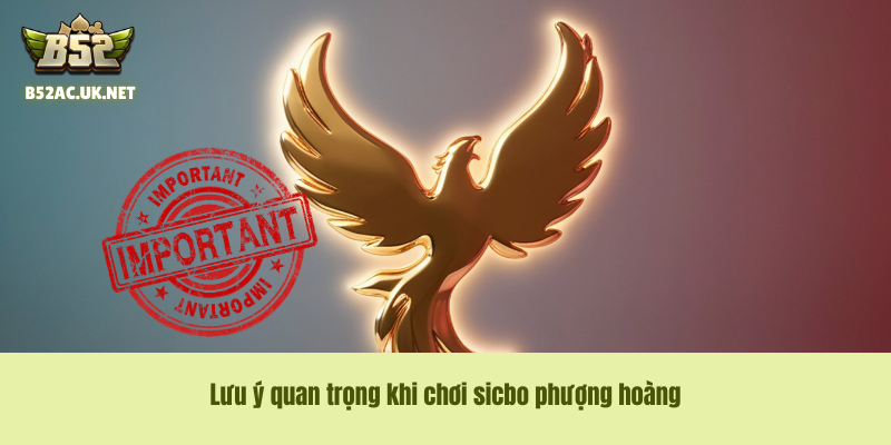 Lưu ý quan trọng khi chơi sicbo phượng hoàng